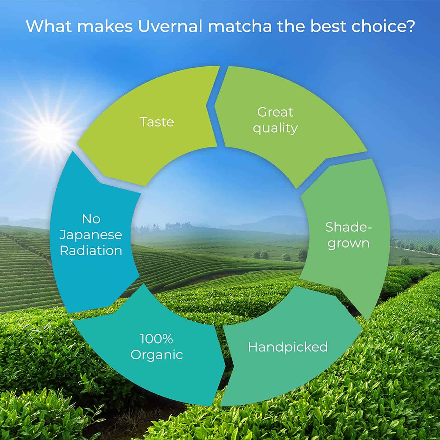 Organic Matcha Green Tea Powder (1 Lb) - 100% Pure Matcha for Smoothies Latte and Baking - Easy to Mix - Image 3